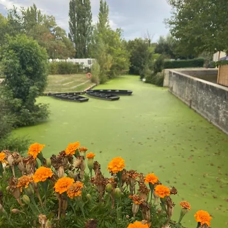 Au Cocon De Belice 홈스테이 *