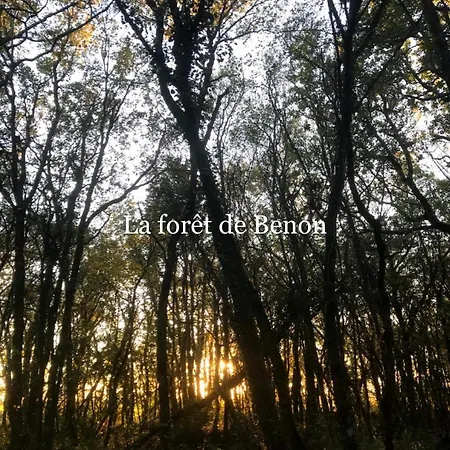 Rum i privatbostad Au Cocon De Belice *