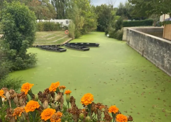 Au Cocon De Belice Homestay *