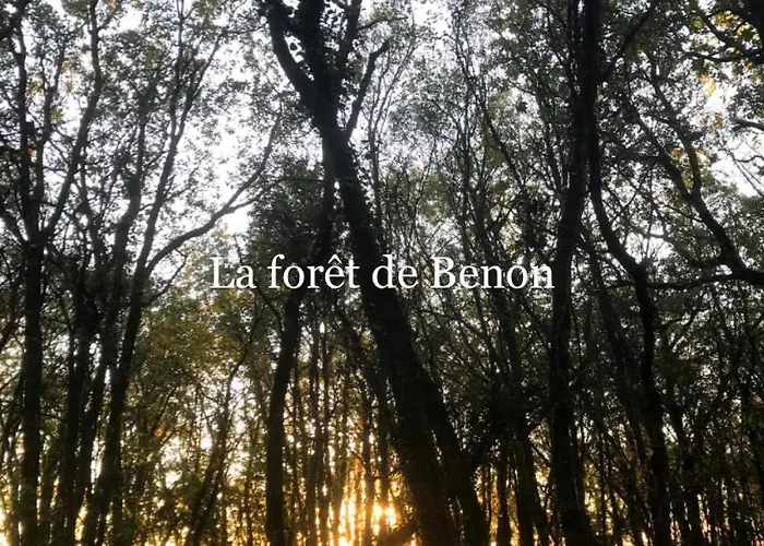 Homestay Au Cocon De Belice *